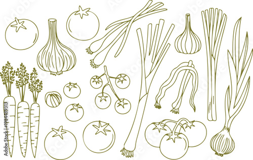 Clean hand drawn vegetable set featuring fresh produce like tomato onion garlic and carrot in simple organic botanical line style
