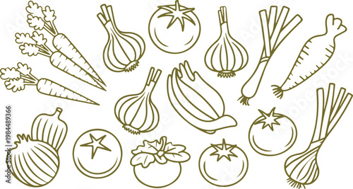 Clean hand drawn vegetable set featuring fresh produce like tomato onion garlic and carrot in simple organic botanical line style