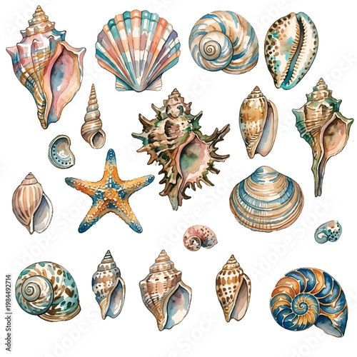 A simple vector collection of colorful seashells and starfish on a sandy beach inspired by ocean life and summer nature