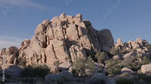 a tilt up clip of a rocky granite outcrop on a spring morning at joshua tree national park in california, usa