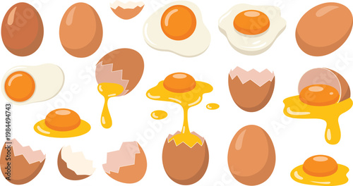 Brown organic eggs collection with fried eggs cracked eggshells and raw dripping yolk vector illustration for cooking and healthy breakfast designs