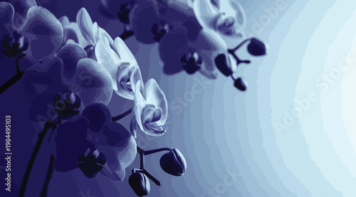 Beautiful blue orchid flowers on a soft gradient background