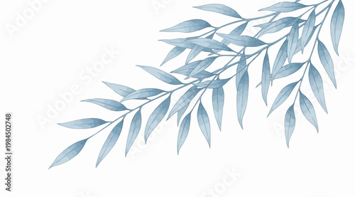 Watercolor illustration of a blue willow branch, delicate botanical element