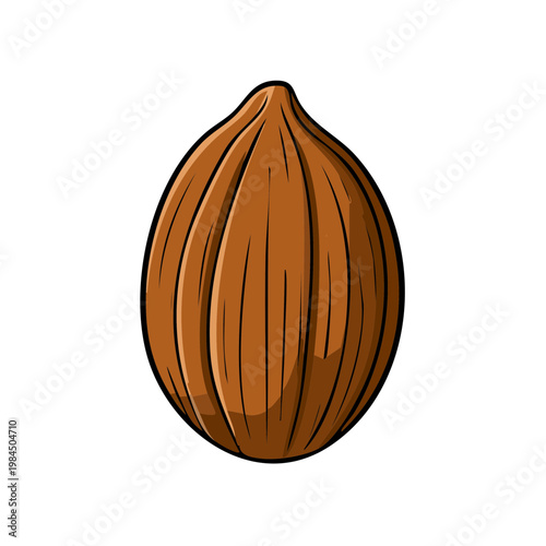 Single ripe hazelnut with textured brown shell isolated on white background