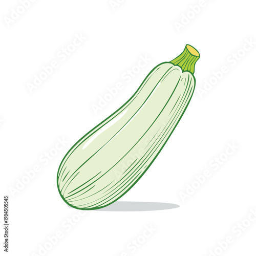 Light green zucchini vegetable with textured detail and green stem isolated on white background