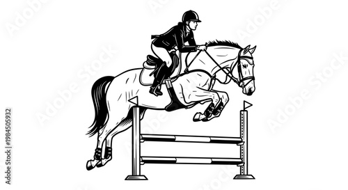 horse rider silhouette