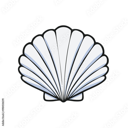 Illustration of a white scallop seashell with black outline and radiating lines