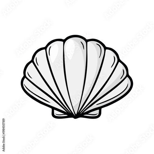 Elegant Seashell Illustration Simple Line Art Ocean Life Marine Creature Natural Object