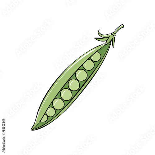 Hand-drawn illustration of a single open pea pod filled with green peas, isolated on white