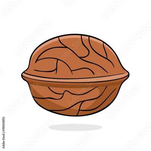 Illustration of a Single Brown Walnut Shell with Intricate Surface Texture