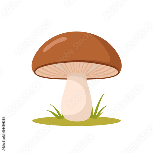 Simple cartoon illustration of a brown mushroom growing in green grass and on brown earth