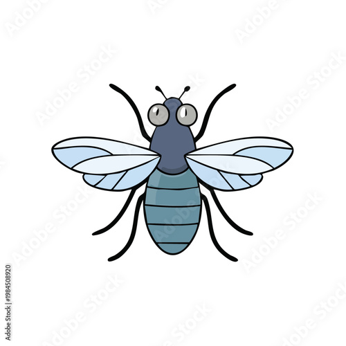 Cartoon Fly Insect With Big Eyes and Translucent Wings