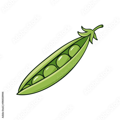 A single open pea pod revealing five plump green peas inside its shell ready for harvest