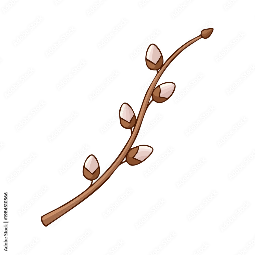 Obraz premium Delicate Pussy Willow Branch with Soft Buds Against a Clean White Background