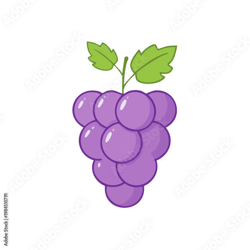 A cluster of plump purple grapes with green leaves on a stem