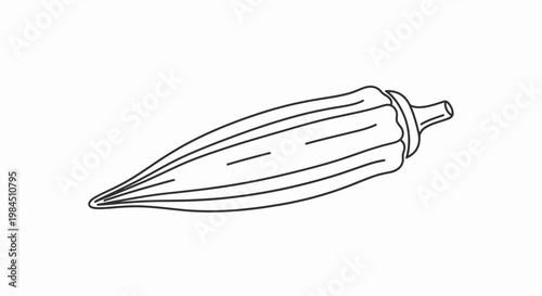 corn on the cob illustration