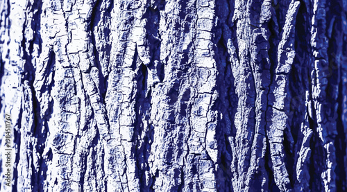 Closeup of rough tree bark texture with deep vertical fissures and blue color filter