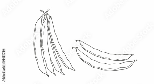 hand drawn vector illustration of a banana