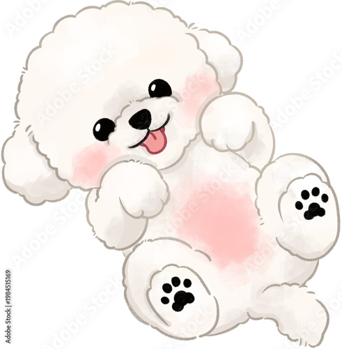 Cuadro en lienzo Cute fluffy bichon frise puppy lying on back, adorable cartoon dog illustration