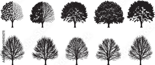 Collection of Tree Silhouettes and Bare Winter Branches Isolated on White Background Vector
