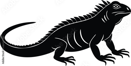 Iguana Lizard Reptile Vector Illustration Design