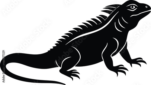 Iguana lizard reptile animal vector graphic