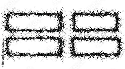 Set of four rectangular frames made of black thorny vines