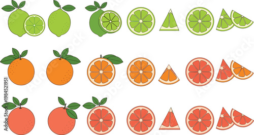 Citrus fruits vector set featuring lime orange and grapefruit slices wedges and whole fruits fresh collection isolated illustration