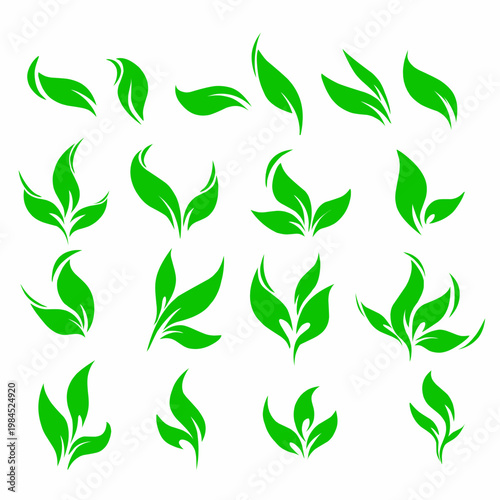 set of green leaves