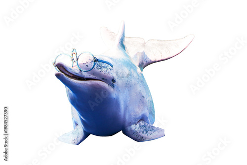 Dolphin wearing goggles is performing show at amusement park. isolated on cutout PNG or transparent background. Trained trick during aquarium in marine. Intelligent marine animal Entertainment.