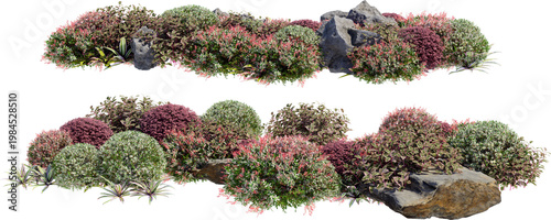 A small garden decorated with stones and various plants on a transparent background.