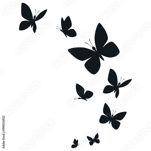 Butterflies silhouette flying on white background.