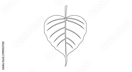 Bodhi leaf outline, sacred fig tree symbol, spirituality, Buddhism, nature, vector art