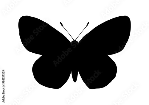 Butterfly silhouette, vector illustration