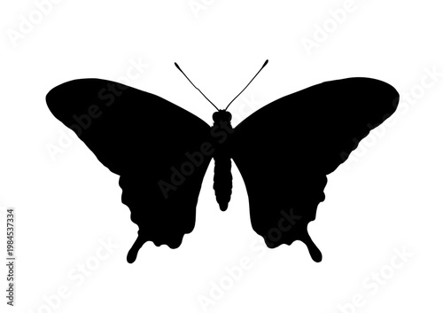 Butterfly silhouette, vector illustration