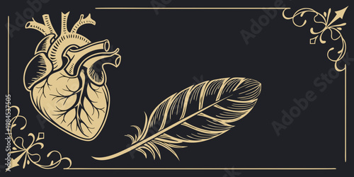Vintage anatomical human heart and feather illustration, vector
