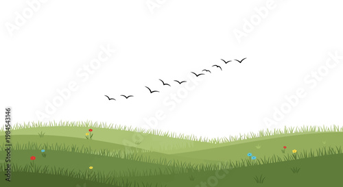 Minimalist landscape with birds flying over grassy hills