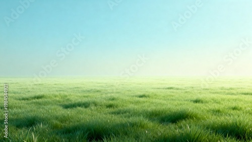Green grass field under blue sky
