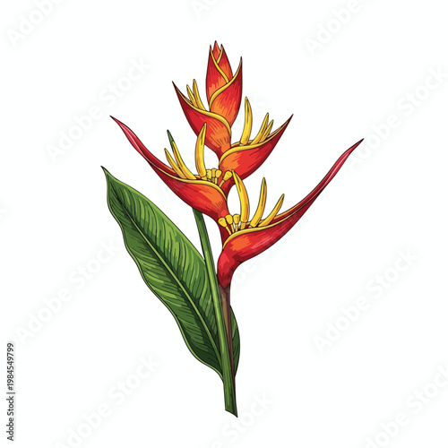 Vibrant Tropical Flower with Bright Colors and Elegant Green Leaves