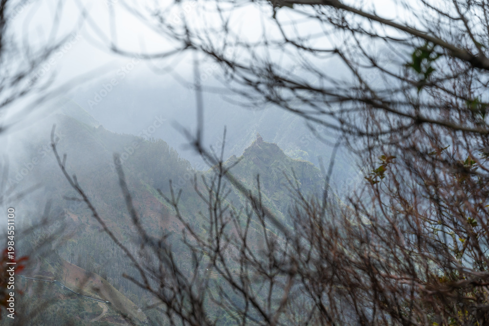 Obraz premium A scenic view of mist-covered volcanic mountain peaks in Madeira, Portugal, captured through the silhouettes of bare branches on a cold, overcast day.