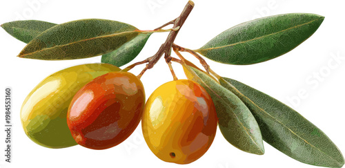 Ripe olives on a branch, isolated on a white background, in clip art style