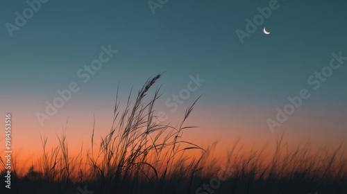 Sunset fades to deep blue with crescent moon, swaying grass silhouettes in the foreground.