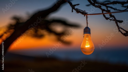 A vintage bulb with warm light hangs on a bare branch against an orange blue gradient sky at dusk, distant hazy hills.