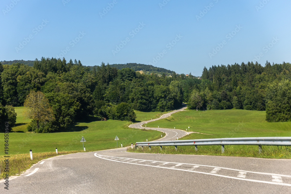 Obraz premium Winding rural road stretches green fields forest clear blue sky create scenic perspective sense freedom. Peaceful countryside landscape gentle hills asphalt invites travel exploration calm journey