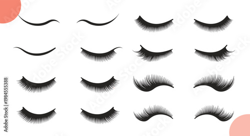 Collection of various eyelash styles and shapes representing cosmetic extensions for beauty salons and professional makeup artist services.