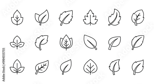 Set of minimalist leaf icons represents various plant species with clean black outlines suitable for eco-friendly design themes.