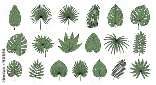 Wide variety of green tropical and exotic leaf illustrations including palm monstera and fern species shown in a clean flat design style.