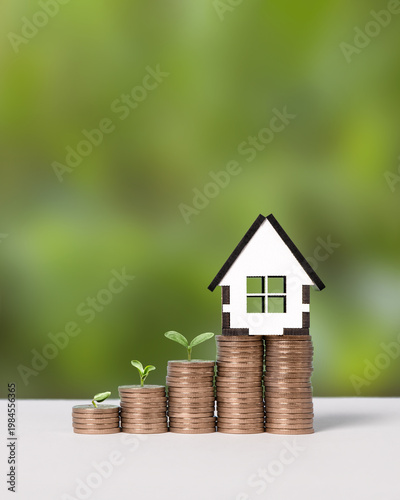 Canvas Print Young green seedlings plant growing on increasing coin stacking for money saving deposit and investment dividend growth concept, goals achievement