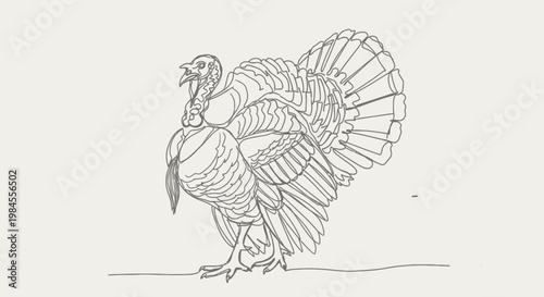 Turkey bird line art illustration