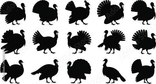 A diverse array of black turkey bird silhouettes presented in various natural stances against a crisp white backdrop